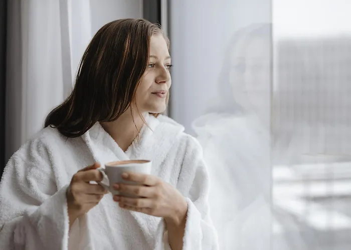 Ibis بادربورن